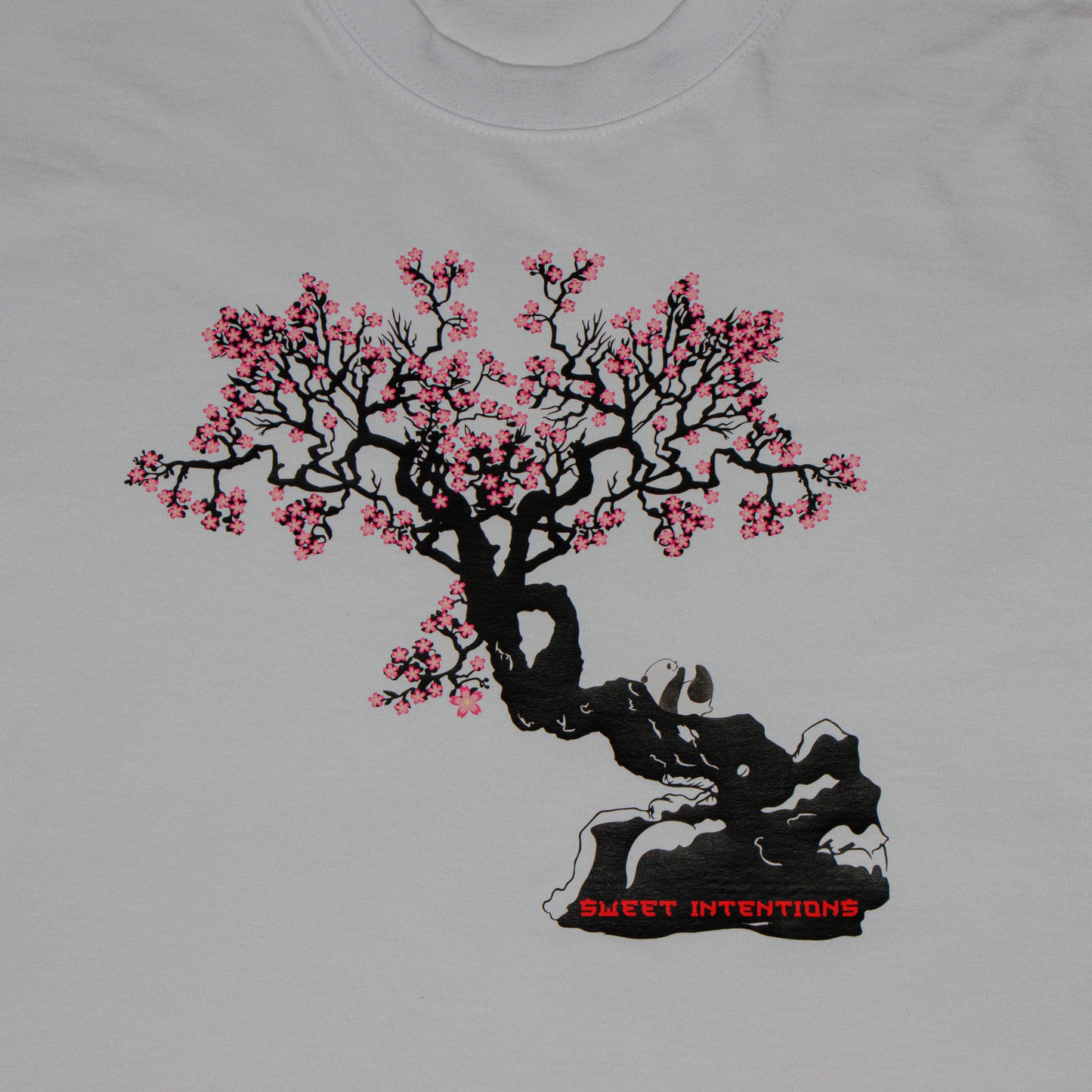 Boxy Bobb t-shirt with cherry blossom art