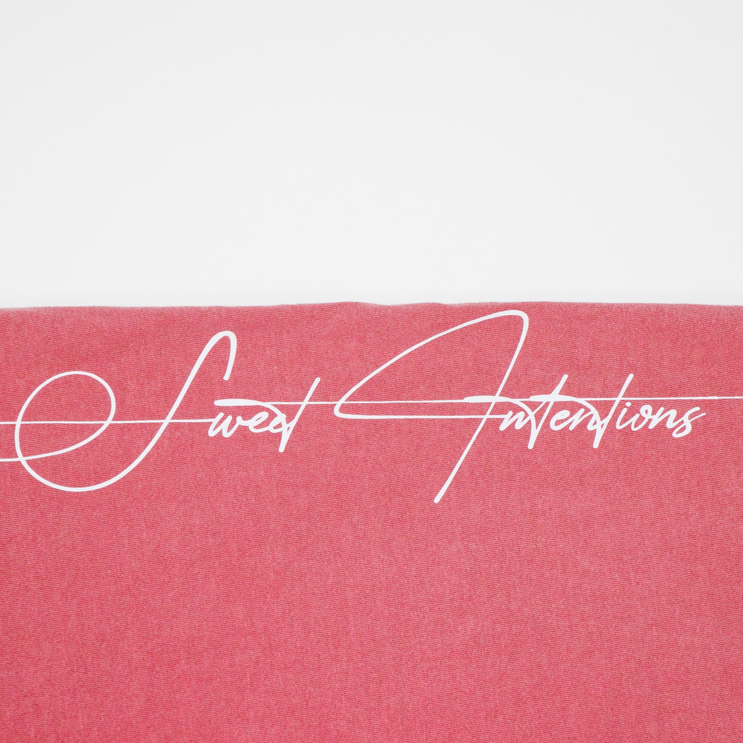 Jersey Color washed Tank Top (Brick Color)