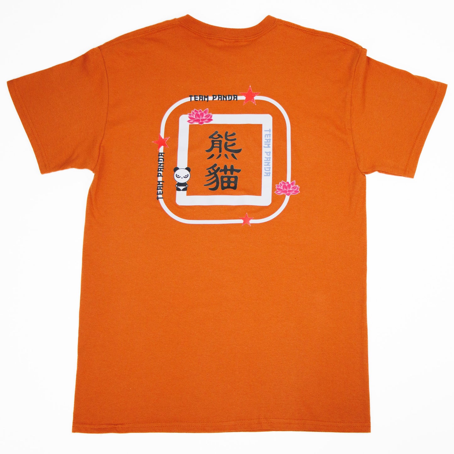 Ragen T-Shirt with Chinese writing and art (Burnt Orange)