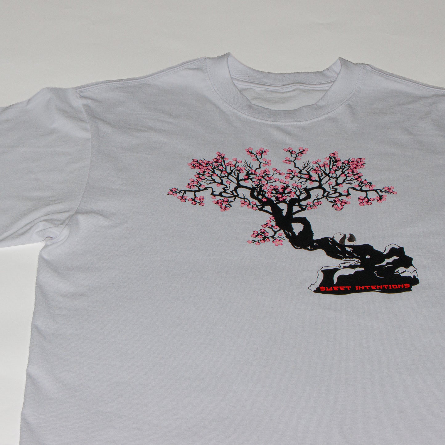 Boxy Bobb t-shirt with cherry blossom art