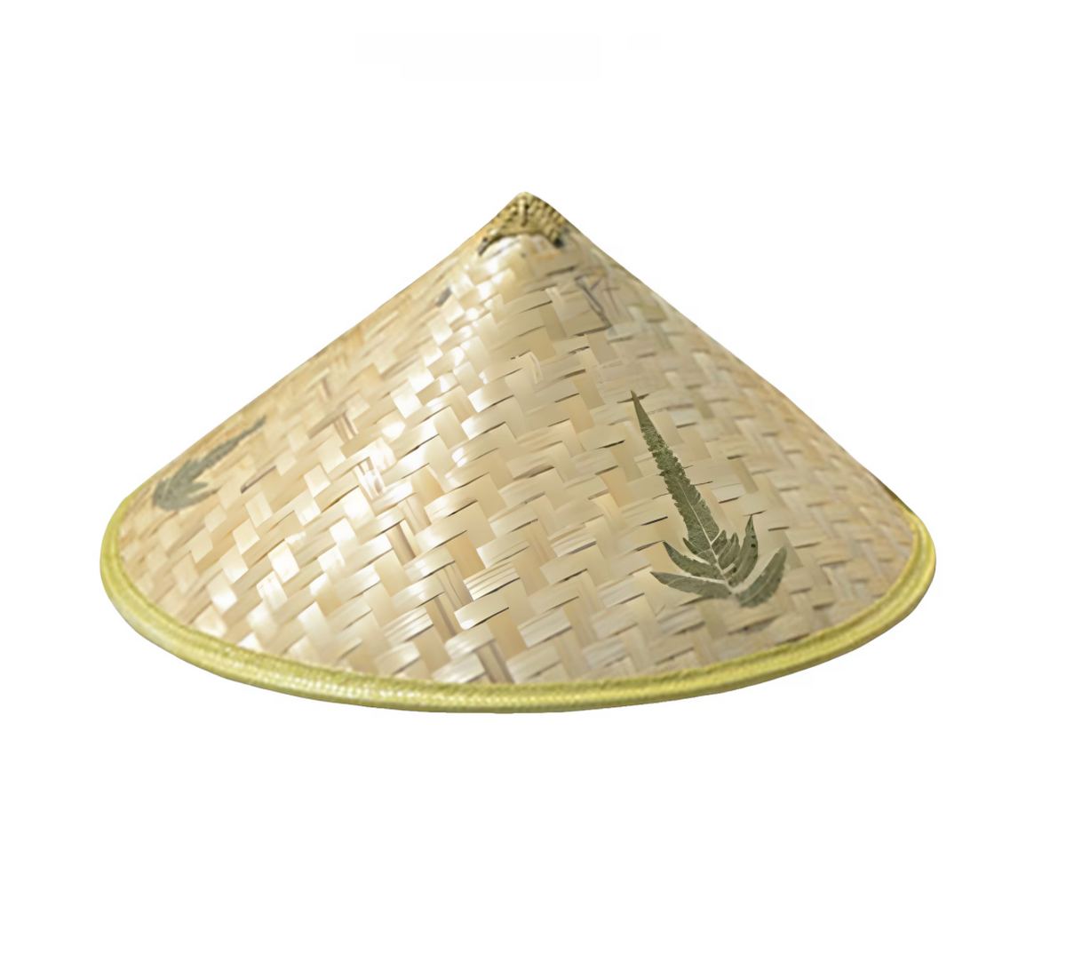 Rice Hat