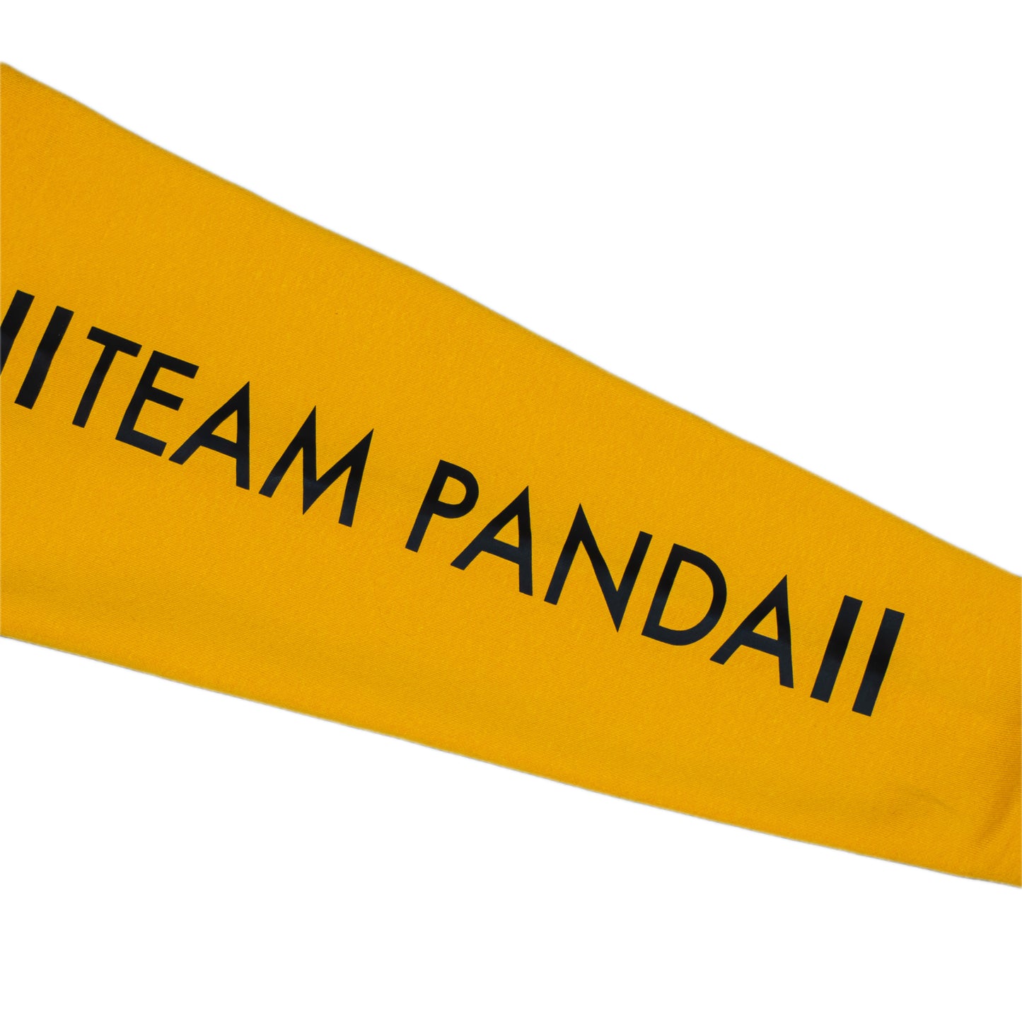 Pullover Team Panda Graphic Hoodie (Sun Yellow)