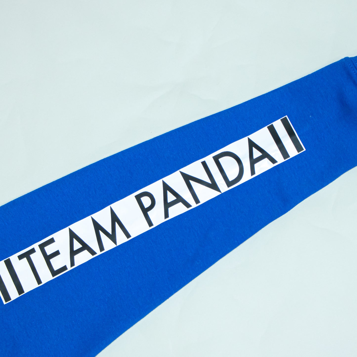 Pullover Team Panda Graphic Hoodie (Royal Blue)