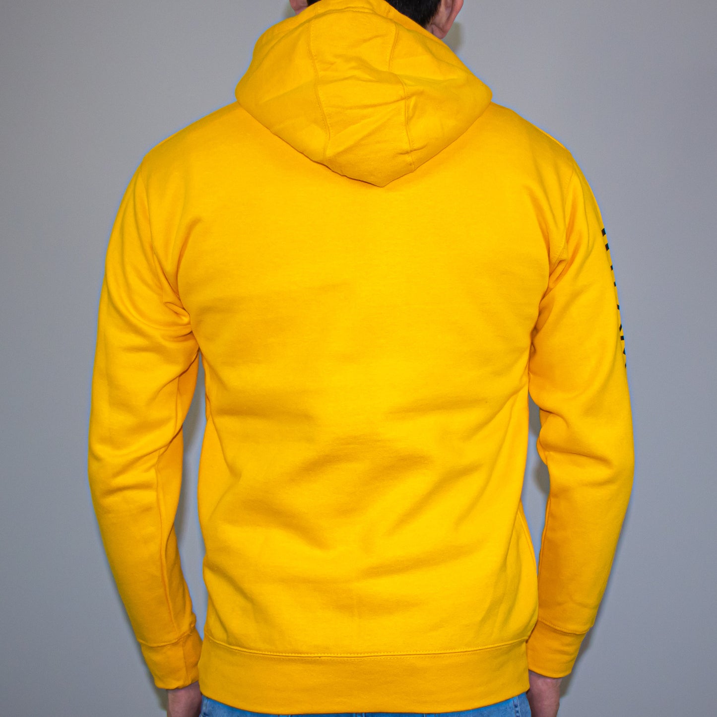 Pullover Team Panda Graphic Hoodie (Sun Yellow)