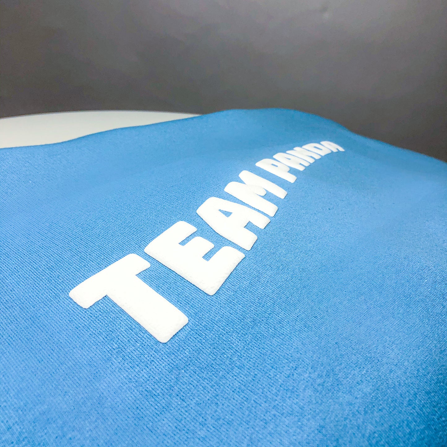 3D Puff Team Panda Logo Hoodie (Light Blue)