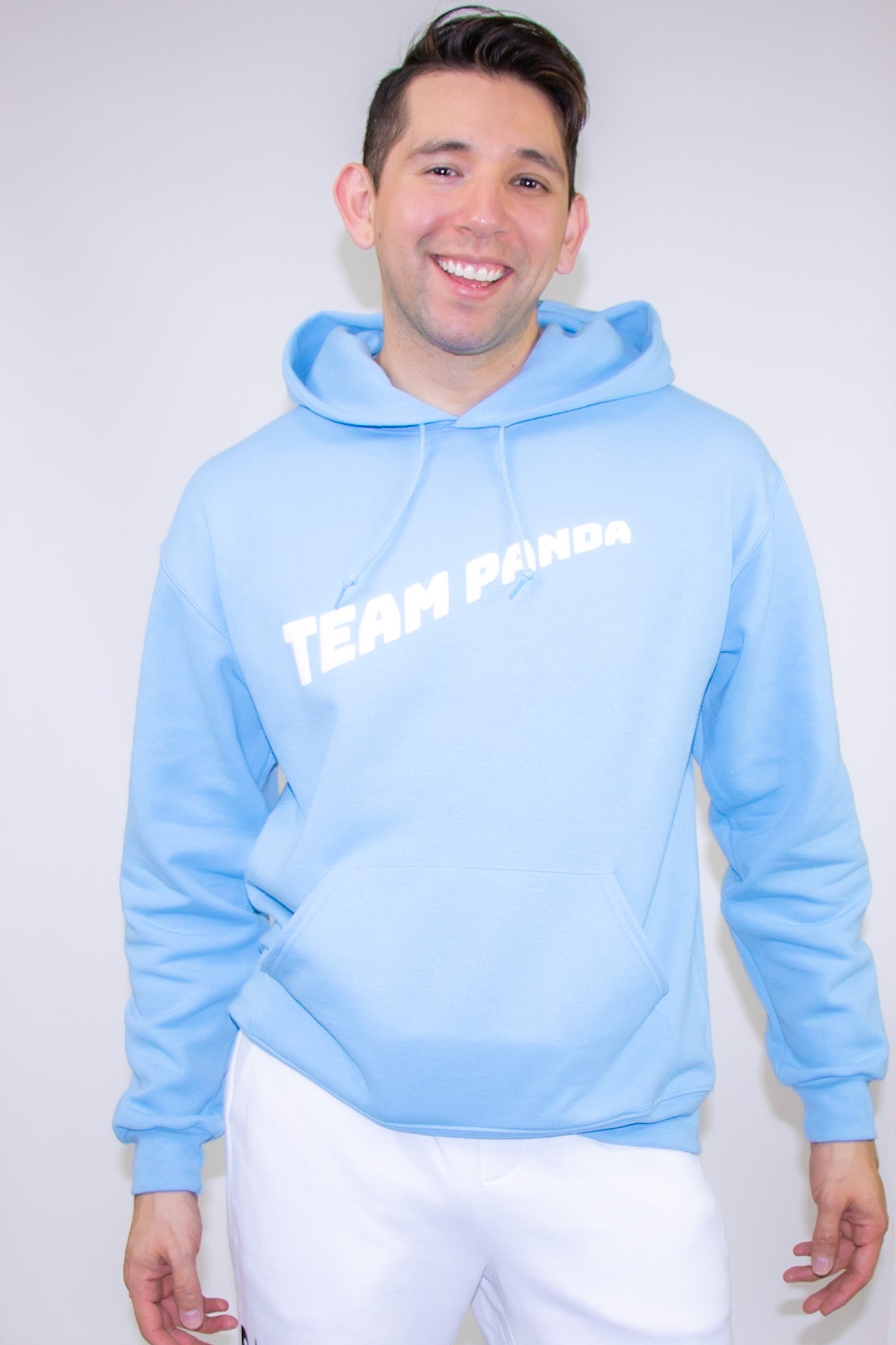 3D Puff Team Panda Logo Hoodie (Light Blue)