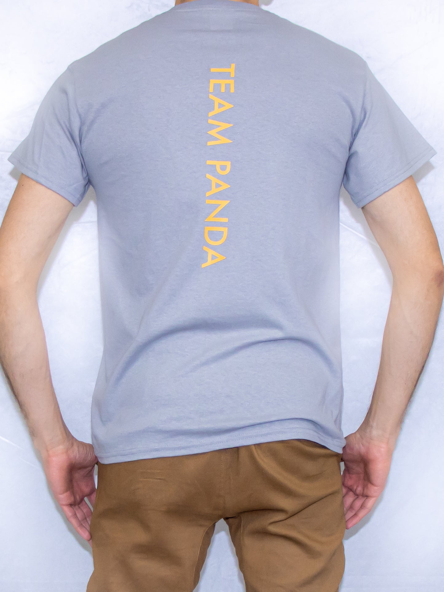 Gold Panda Short sleeve t-shirt (Gray)