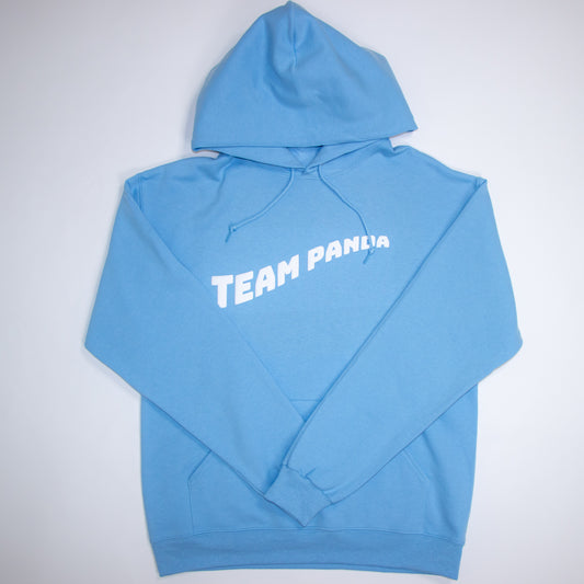 3D Puff Team Panda Logo Hoodie (Light Blue)