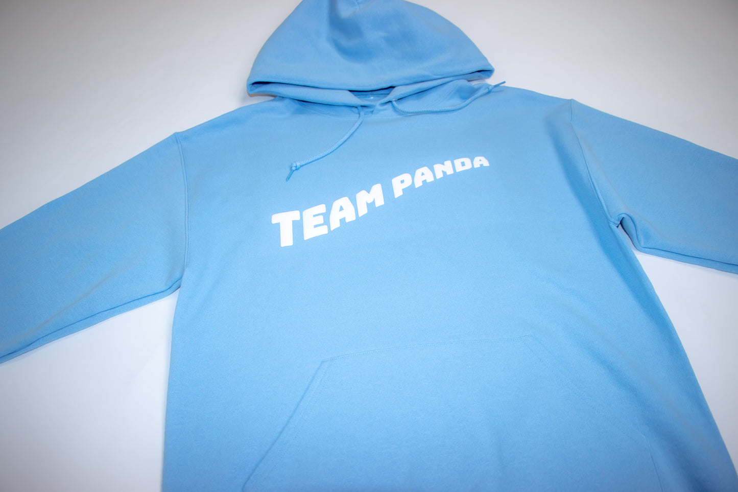 3D Puff Team Panda Logo Hoodie (Light Blue)