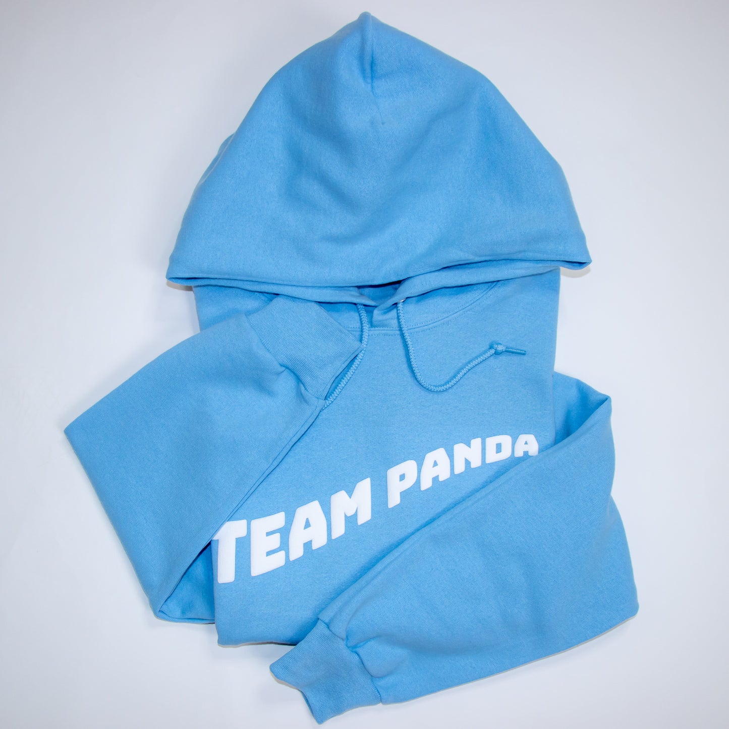 3D Puff Team Panda Logo Hoodie (Light Blue)