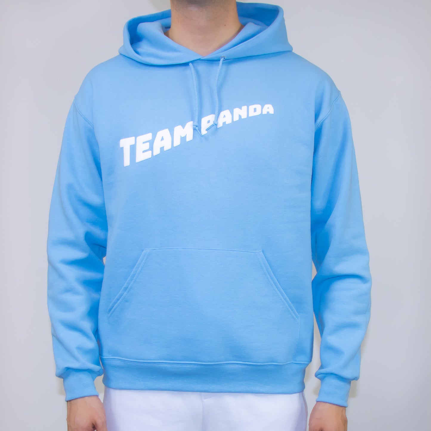 3D Puff Team Panda Logo Hoodie (Light Blue)