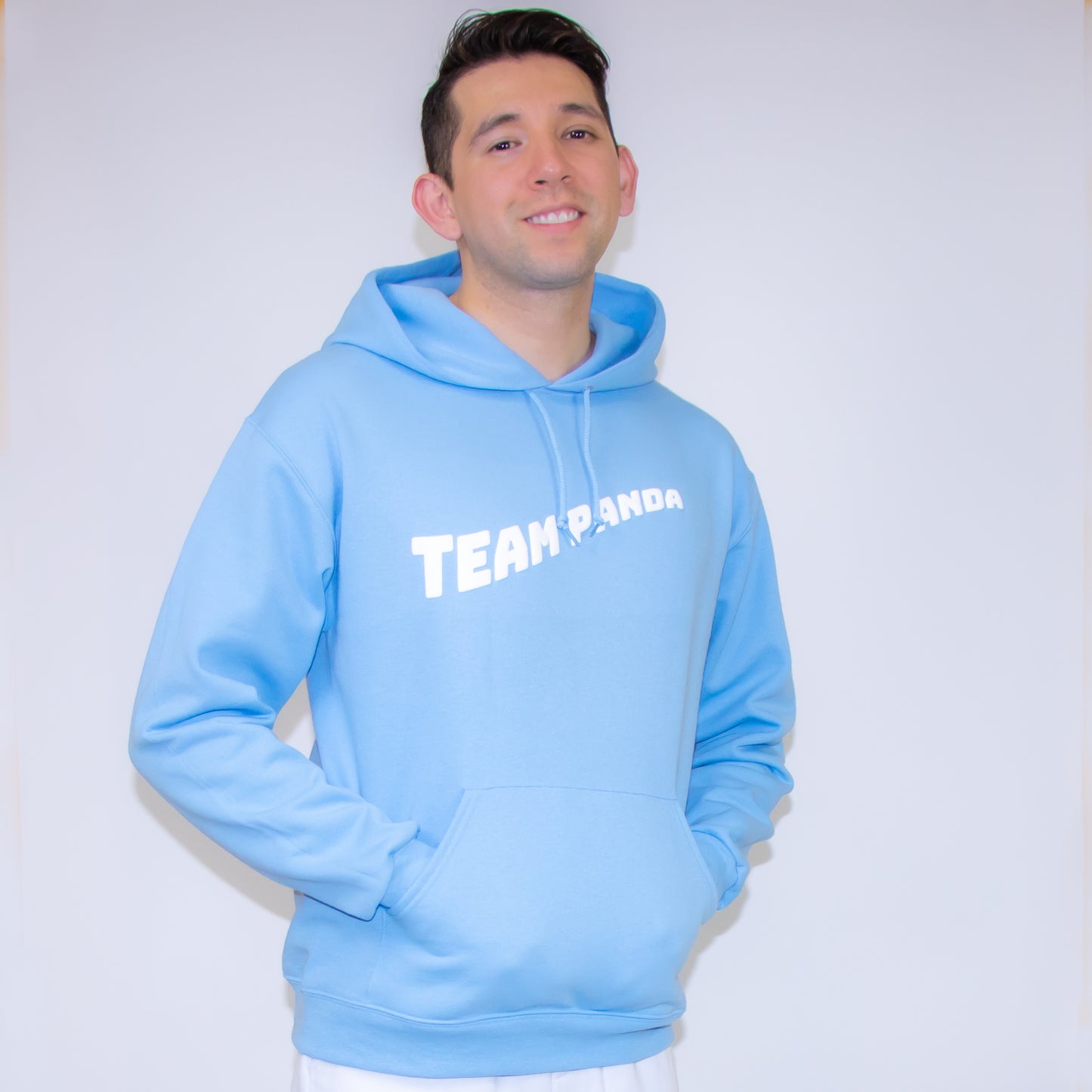 3D Puff Team Panda Logo Hoodie (Light Blue)